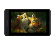 Tablet graficzny Huion Kamvas Pro 13 6930444801038